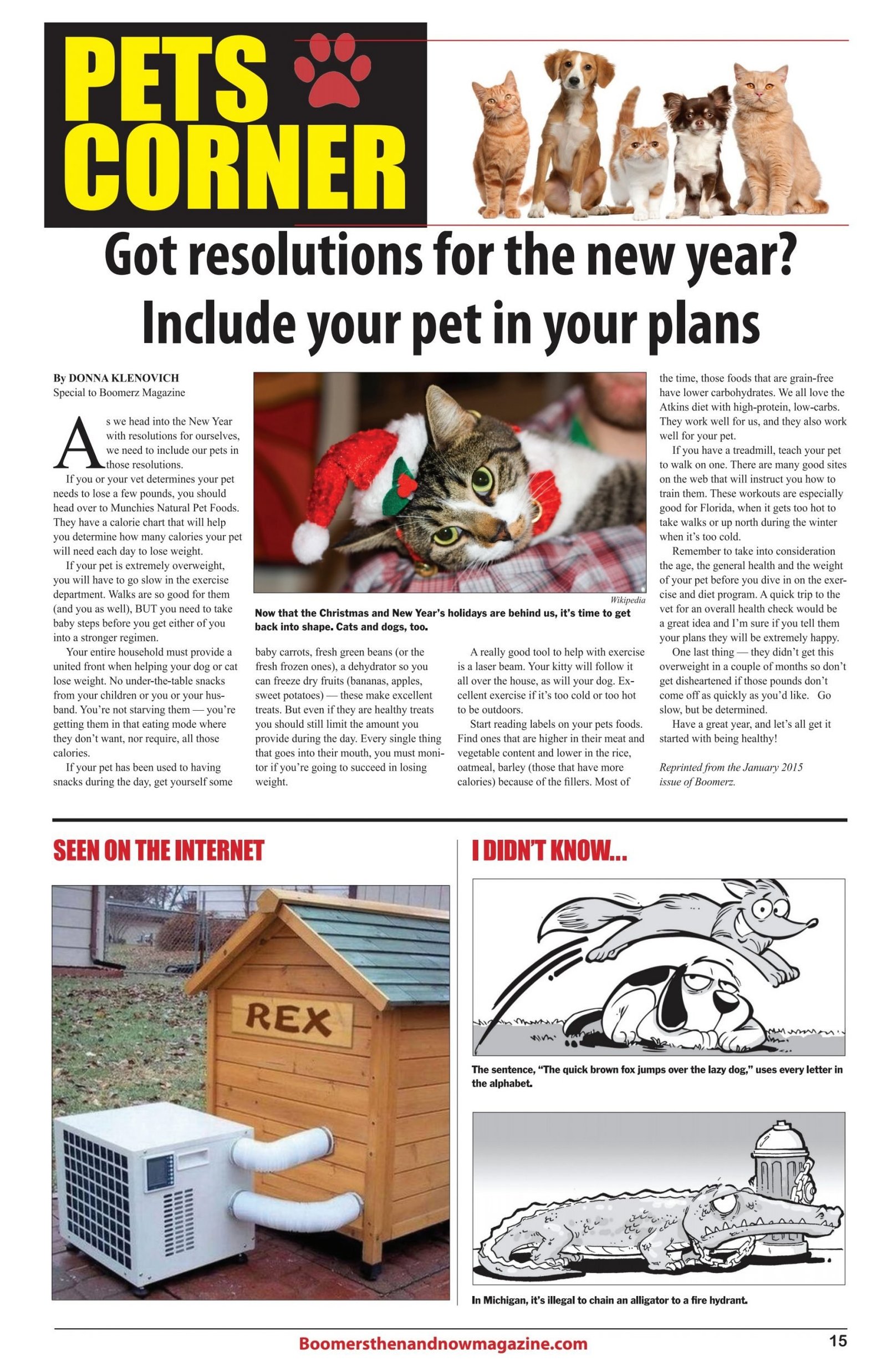 Pets Corner
