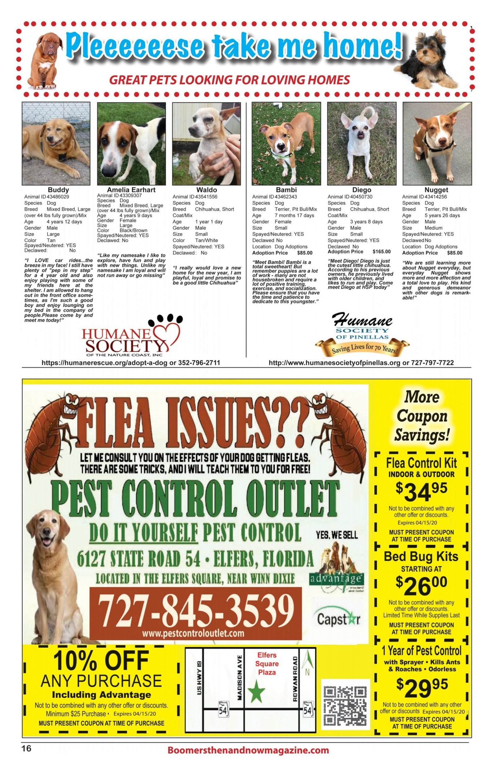 Pet Adaptitions